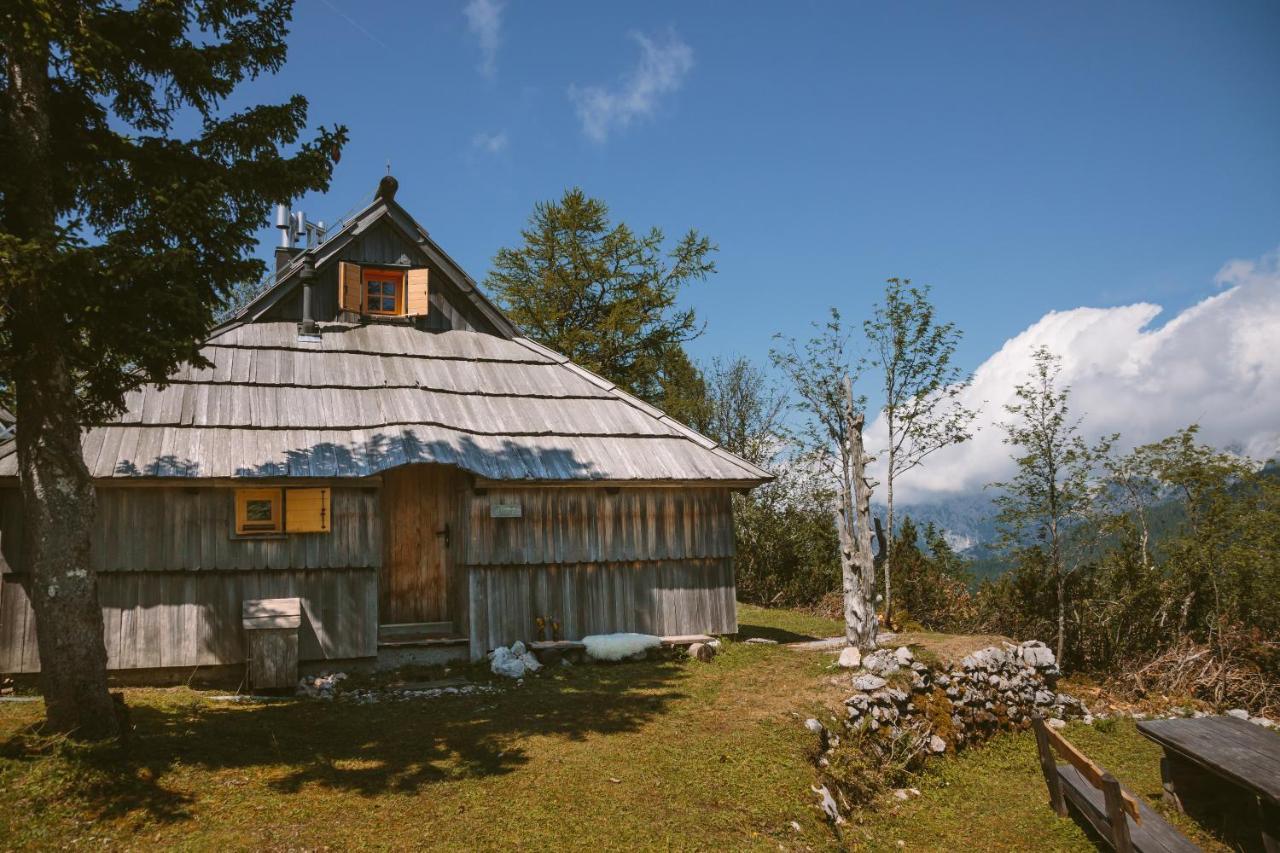 Chalet Orlica Velika Planina Stahovica Exterior foto